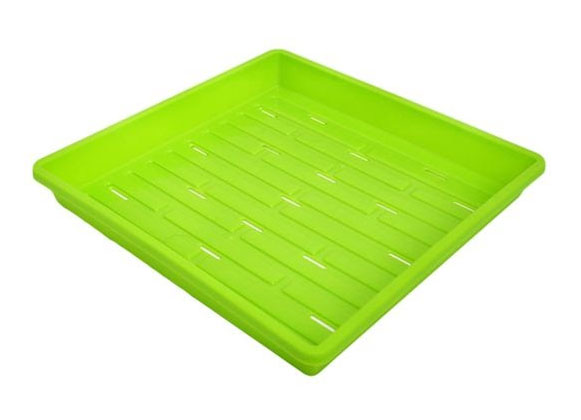 A PP Tray